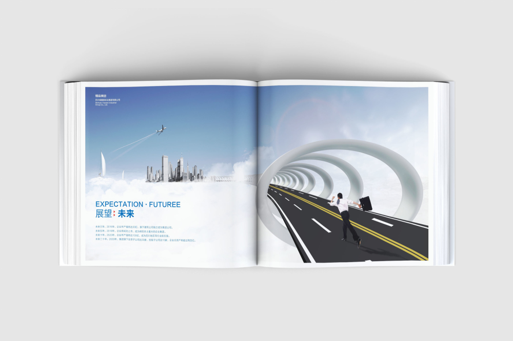 南郑县画册设计